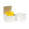 GB442 White Gift Boxes