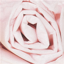 20" x 30" - Tissue Paper (Light Pink)