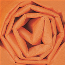 20" x 30" - Tissue Paper (Orange)